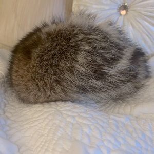 Genuine Raccoon hat from Kriegsman’s furs.